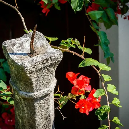 شقة Eta تْسافتات