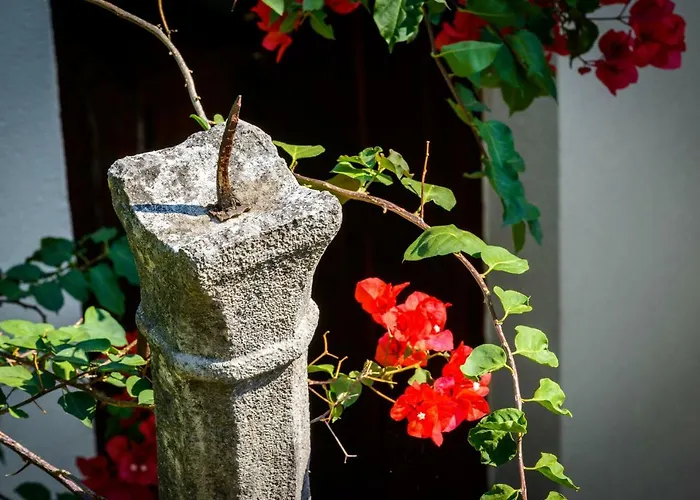 公寓 Eta 察夫塔特