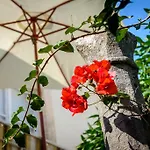 Apartmán Eta *